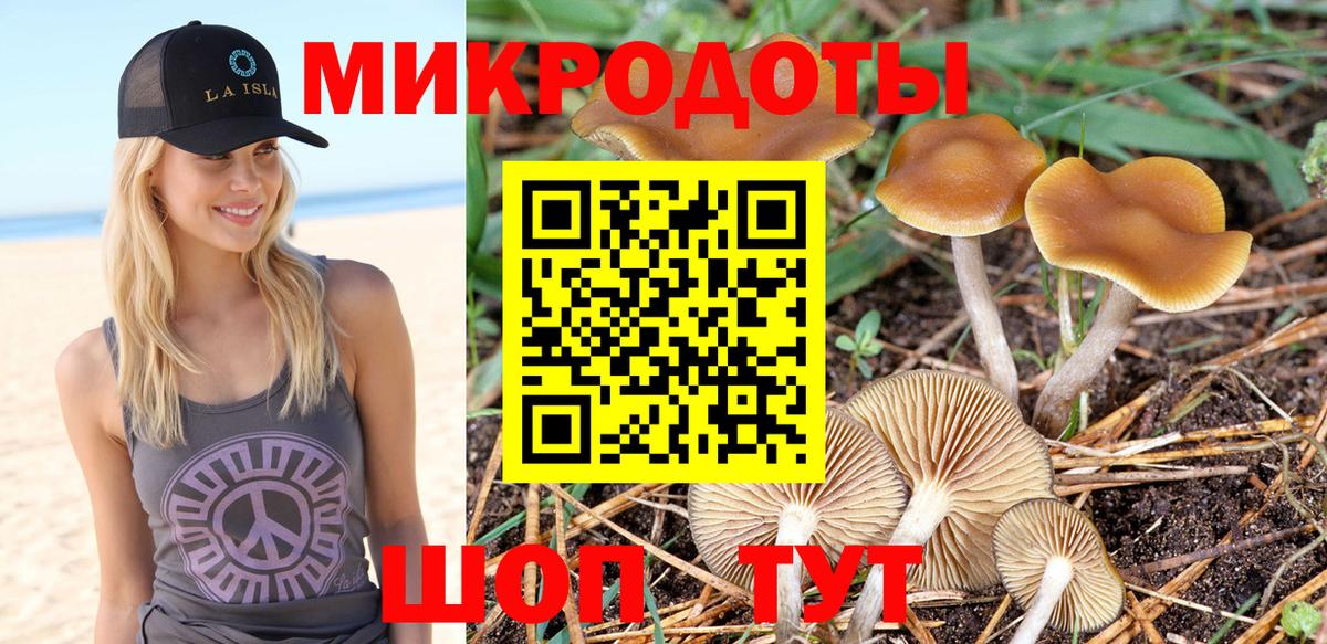 Псилоцибиновые грибы GOLDEN TEACHER Краснодар