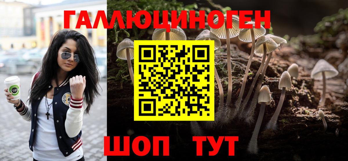 Псилоцибиновые грибы Psilocybine cubensis  Вход с VPN  Галлюциногенные грибы Cubensis  Краснодар 