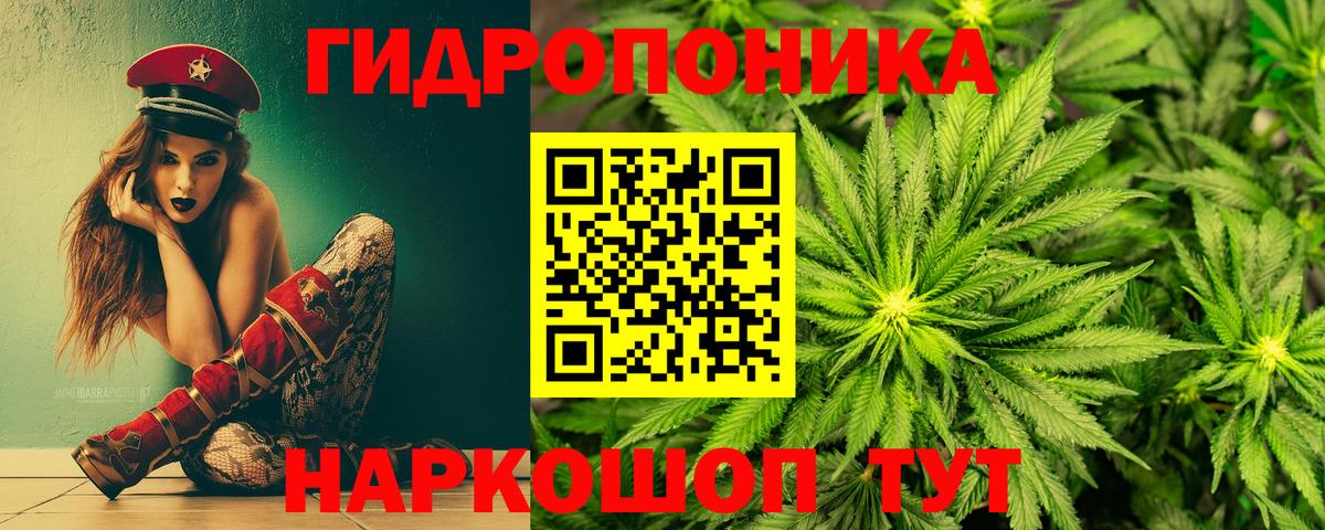 Бошки марихуана AK-47  Вход с VPN  Конопля SATIVA & INDICA  Конопля конопля  Краснодар 
